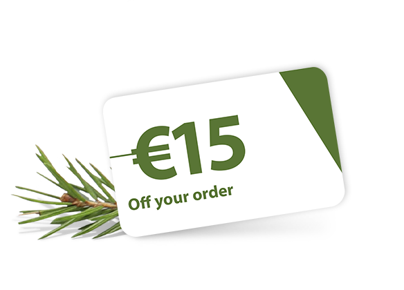 slp_Advent-Period9-2022_hybris_Day01_ie.png
